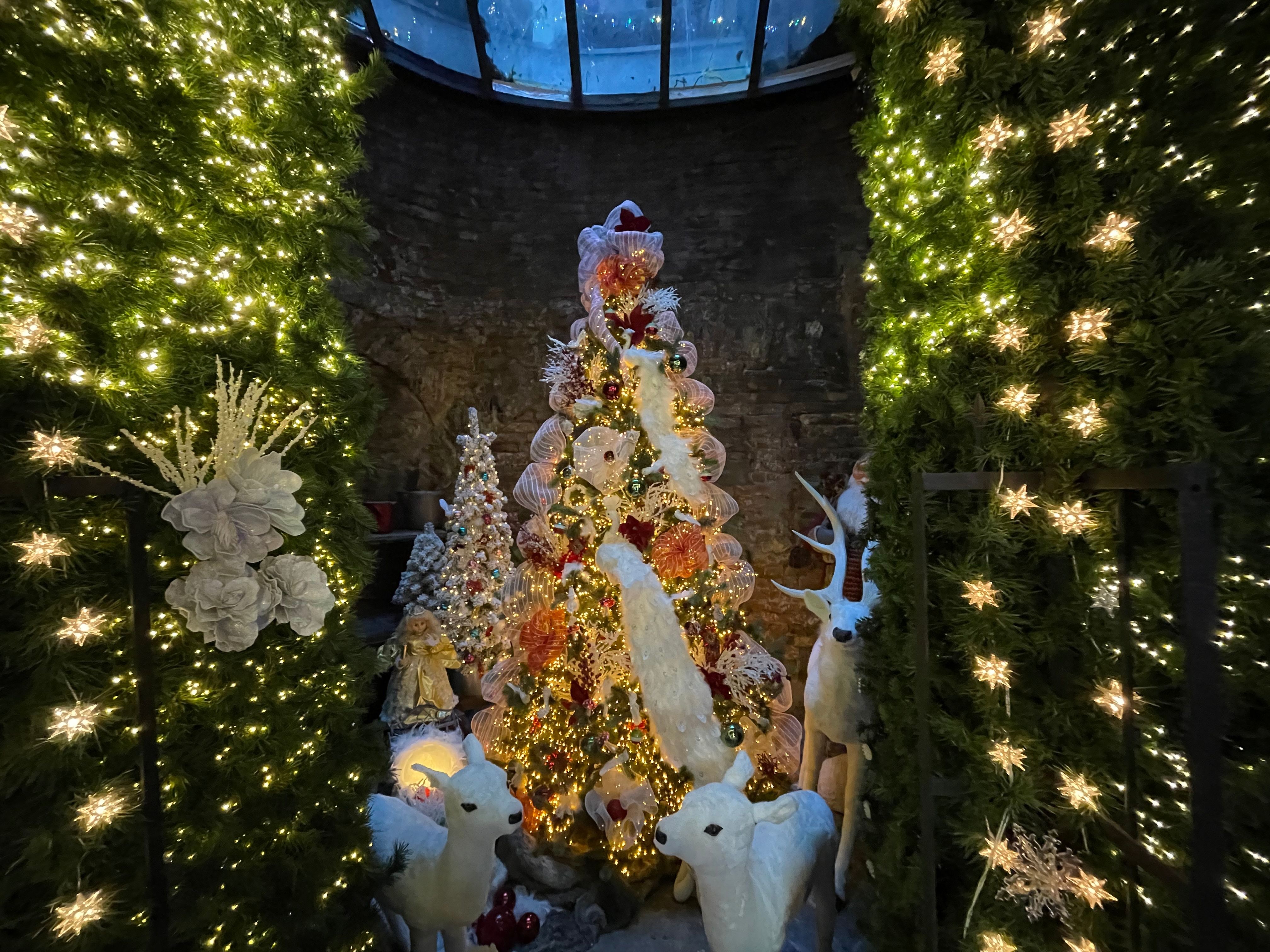 Stadtführungen in Bremen Schnoor Weihnachtshaus